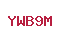YWB9M